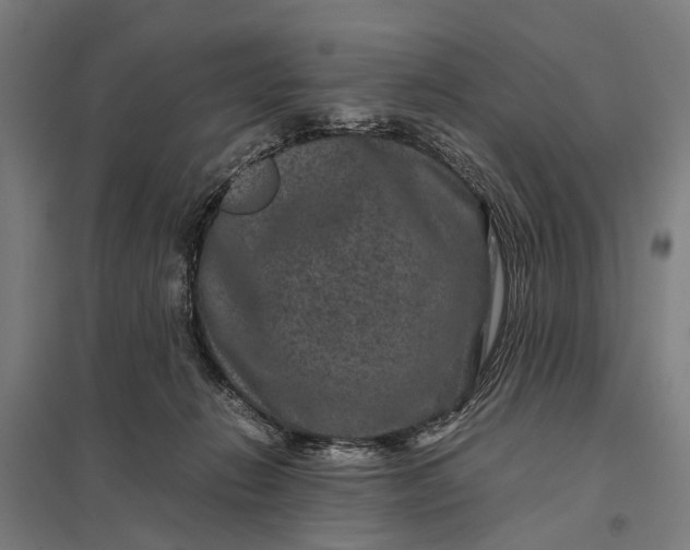 X0000097840270200803281231