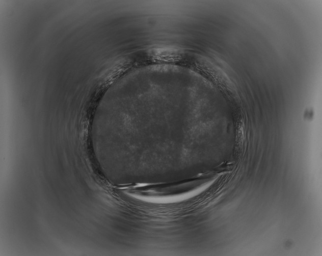 X0000097840271200803281231