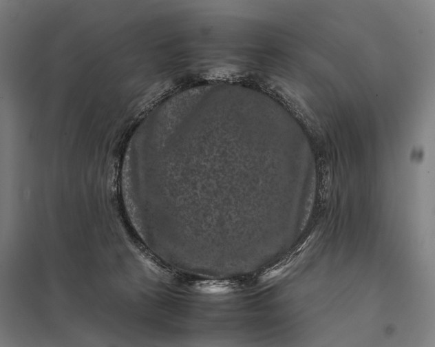 X0000097840273200803281231