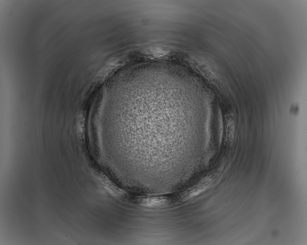 X0000097840274200803281231