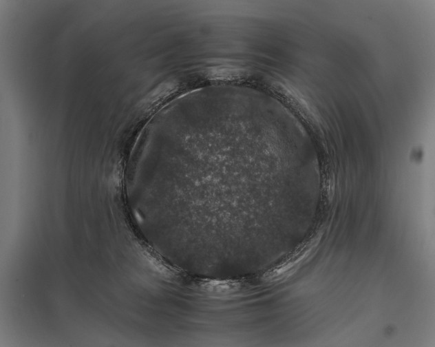 X0000097840277200803281231