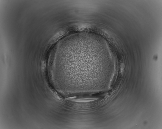 X0000097840278200803281231
