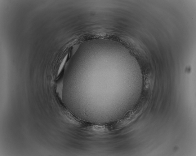 X0000097840279200803281231