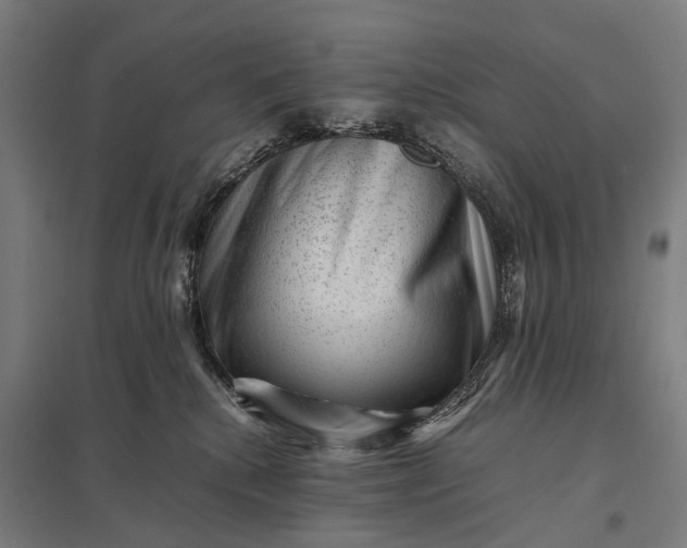 X0000097840280200803281231