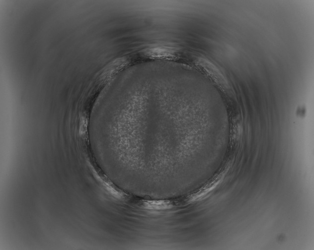 X0000097840281200803281231