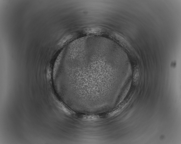 X0000097840282200803281231