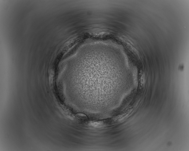 X0000097840283200803281231