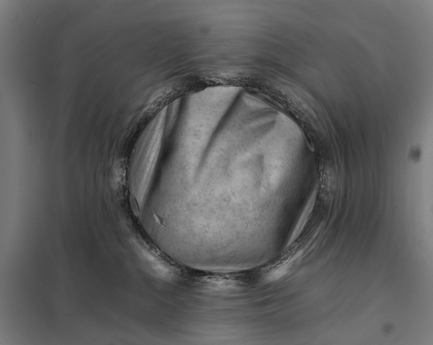 X0000097840284200803281231