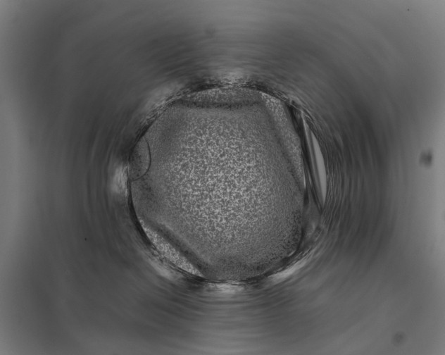 X0000097840286200803281231