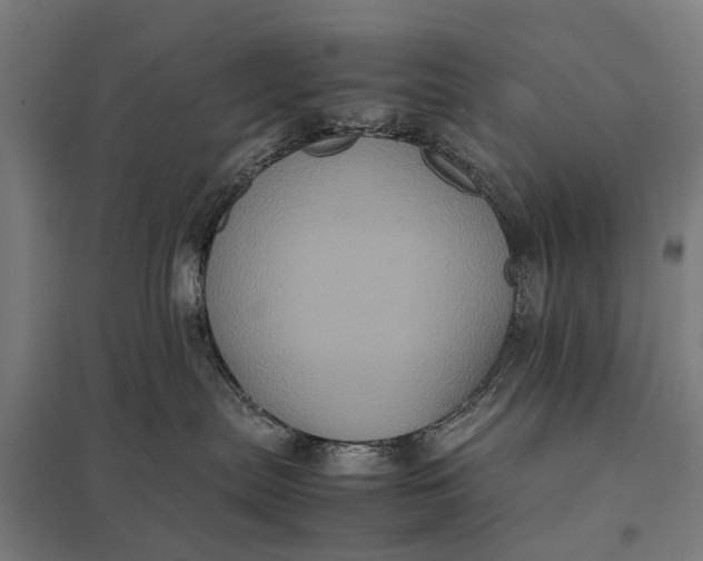 X0000097840287200803281231