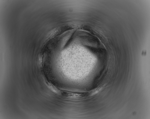 X0000097840288200803281231