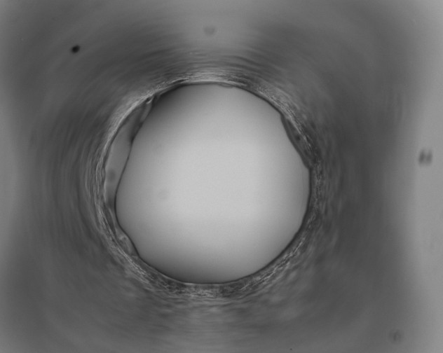 X0000097840289200803281230
