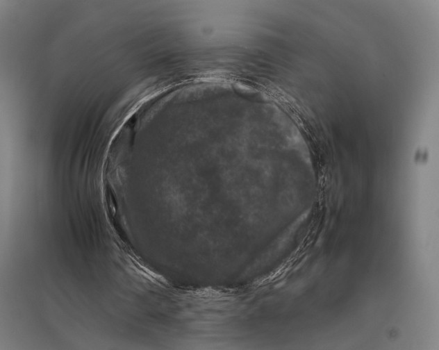 X0000097840290200803281230
