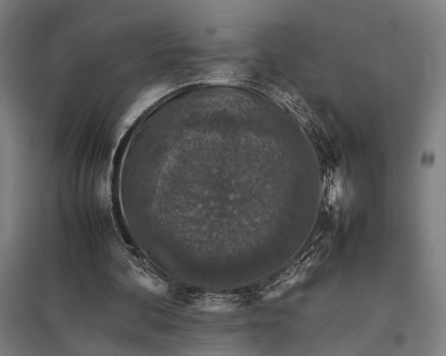X0000097840292200803281230