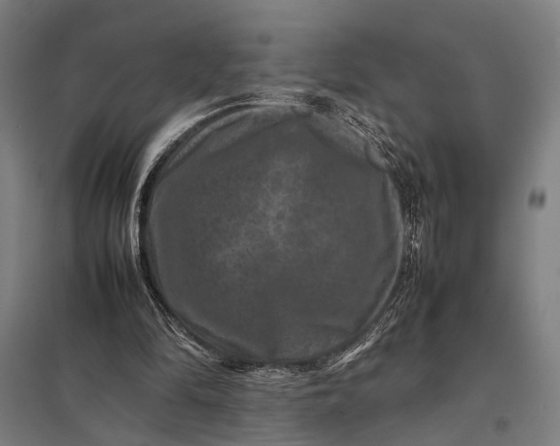 X0000097840294200803281230