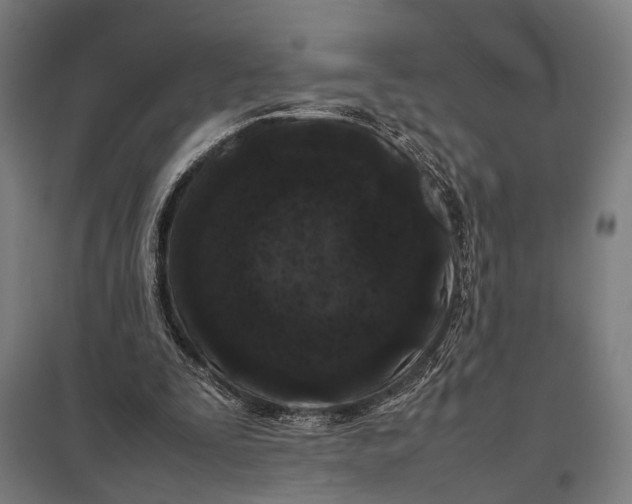 X0000097840295200803281230