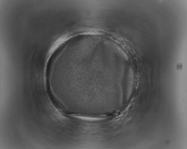 X0000097840296200803281230