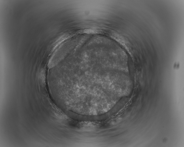 X0000097840297200803281230