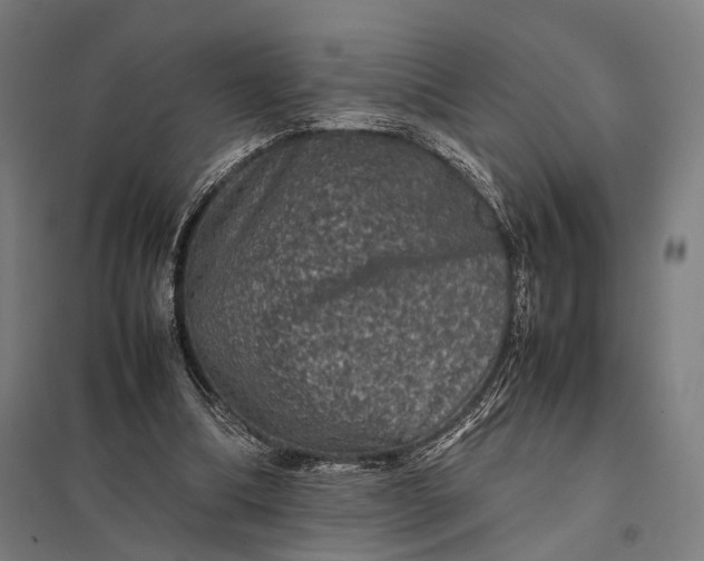 X0000097840298200803281230