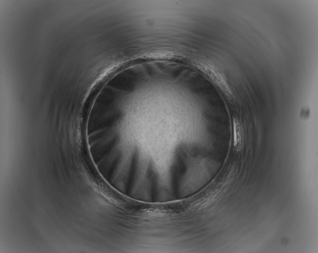 X0000097840300200803281230