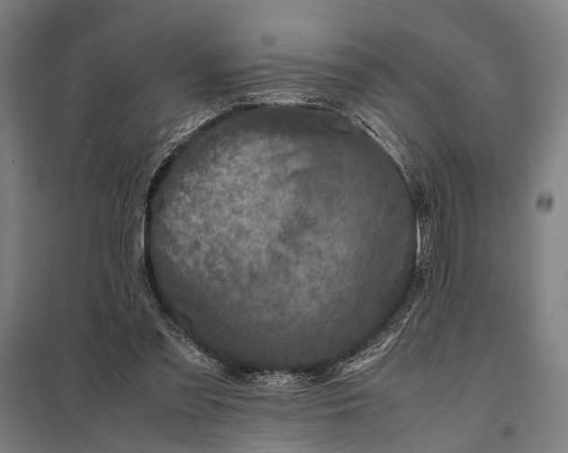X0000097840301200803281230