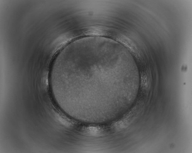 X0000097840302200803281230