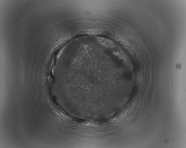X0000097840303200803281230
