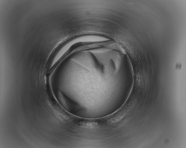 X0000097840304200803281230