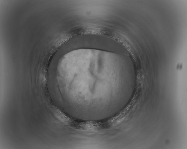 X0000097840305200803281230