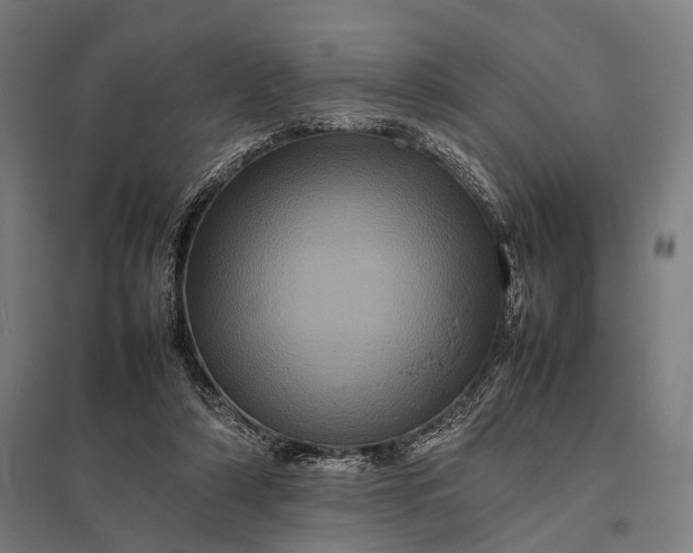X0000097840306200803281230