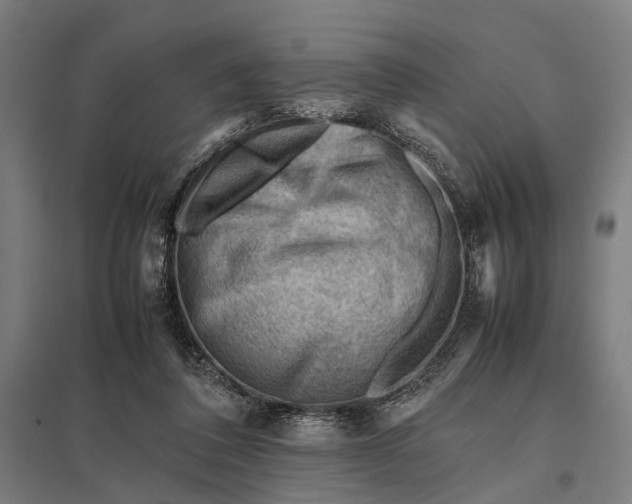 X0000097840308200803281230