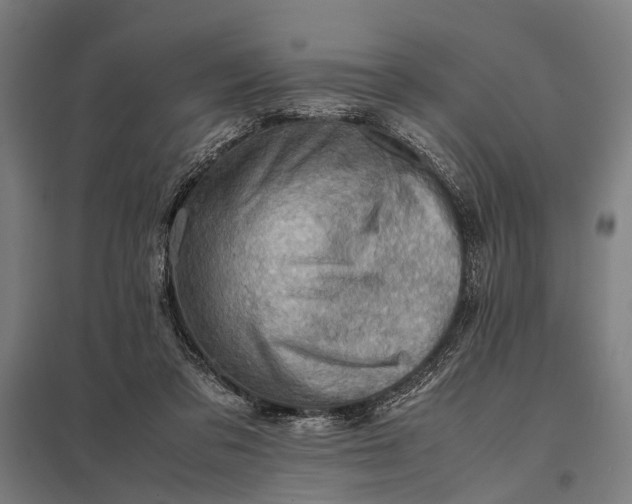 X0000097840309200803281230