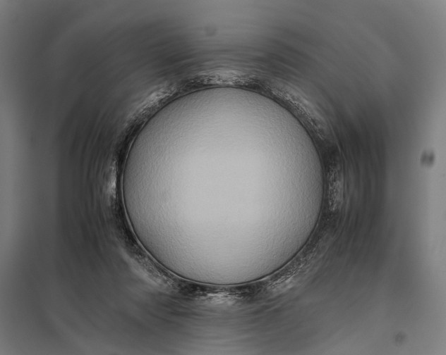 X0000097840310200803281230