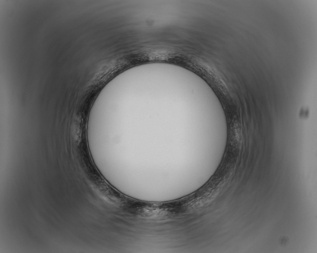 X0000097840311200803281230