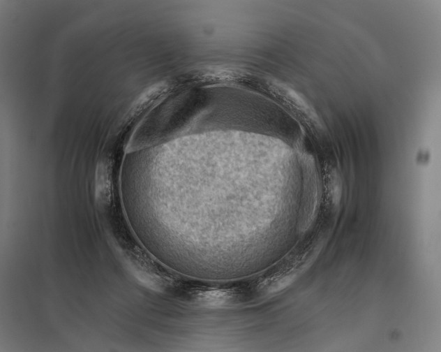 X0000097840312200803281230