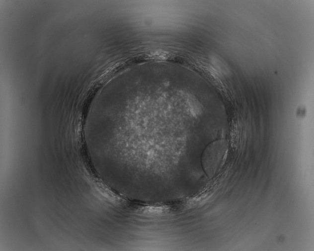 X0000097840314200803281230