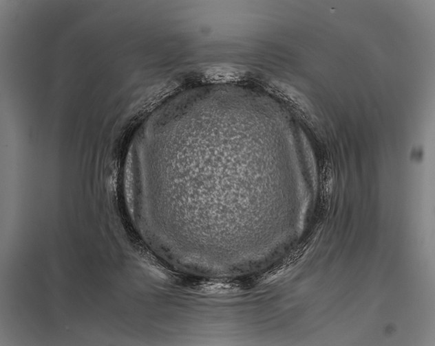 X0000097840315200803281230