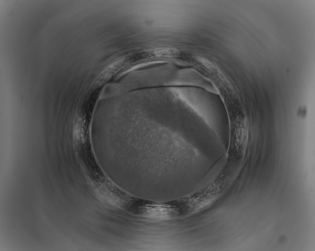 X0000097840316200803281230