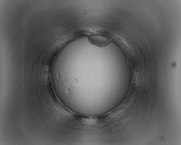 X0000097840318200803281230