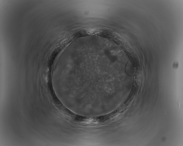X0000097840319200803281230