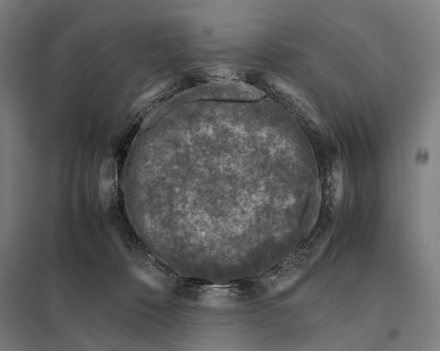 X0000097840320200803281230