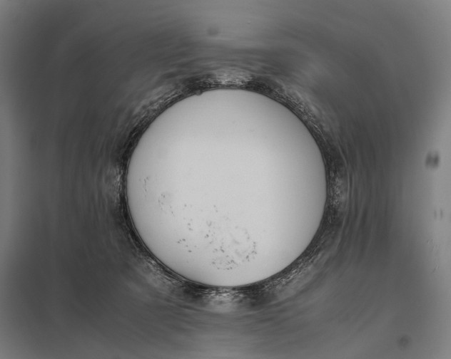 X0000097840321200803281230