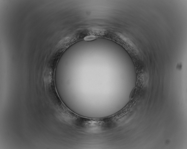 X0000097840323200803281230