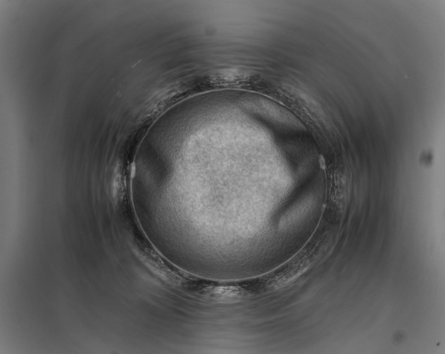 X0000097840324200803281230