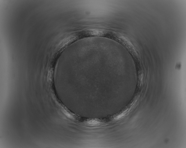 X0000097840325200803281229