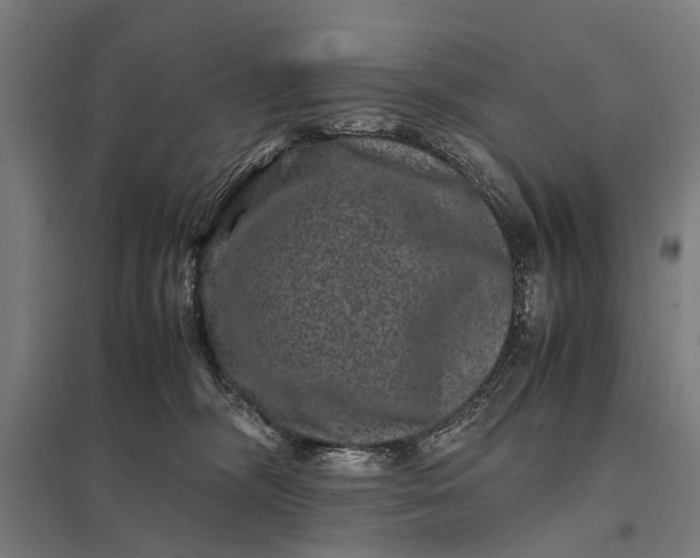 X0000097840326200803281229