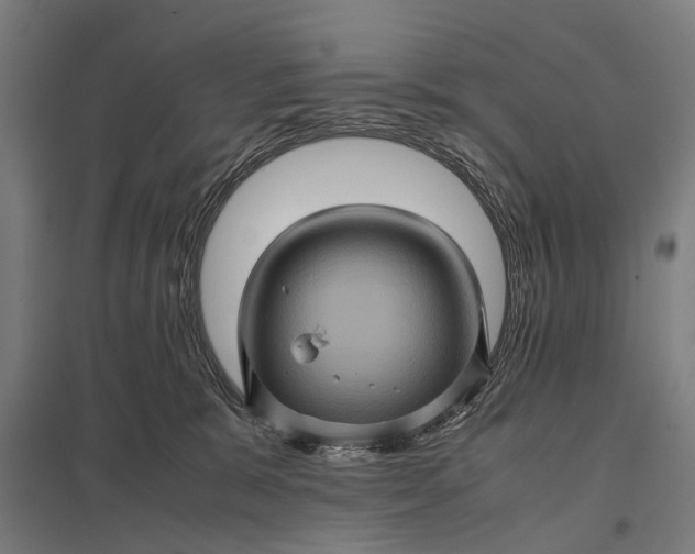 X0000097840327200803281229