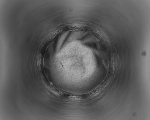 X0000097840328200803281229