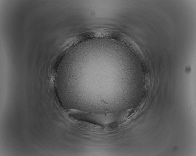X0000097840329200803281229