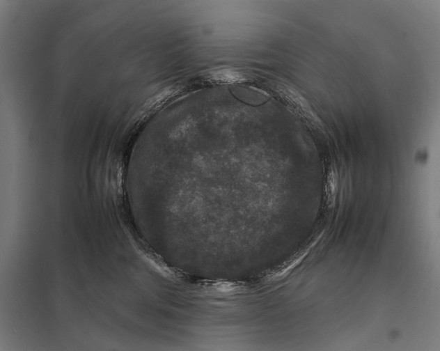 X0000097840330200803281229